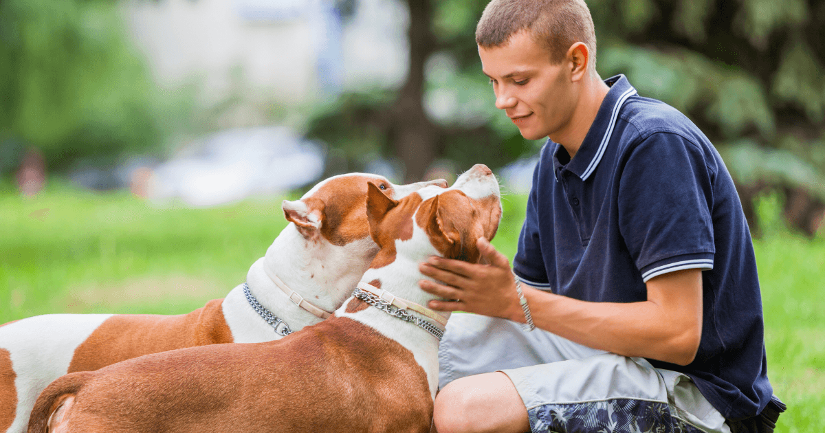 pet sitting business